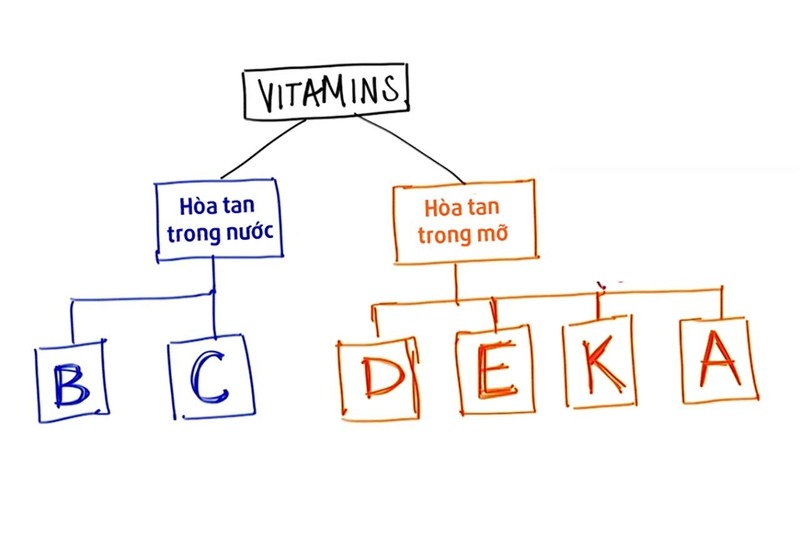 Vai trò của vitamin c